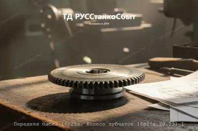Передняя бабка 16р25в. Колесо зубчатое 16р25в.20.231_1 - фото оборудования ТД РУССтанкоСбыт